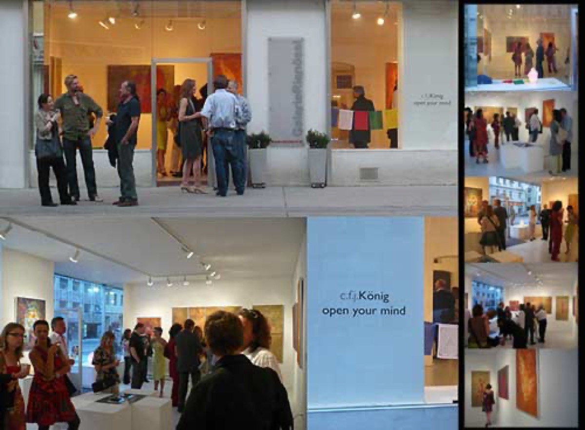 2008 GALERIE RIENÖSSL/SOLO/OPEN YOURE MIND