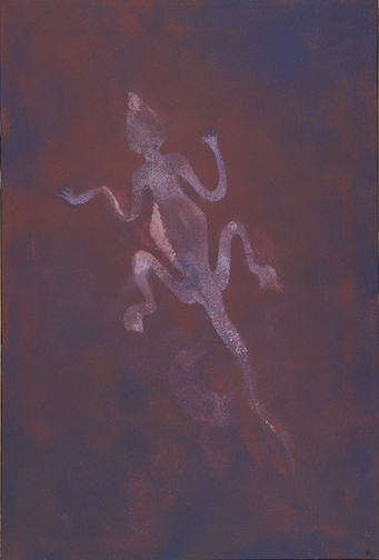 Breitkopfskink — Zurück zur Urkultur