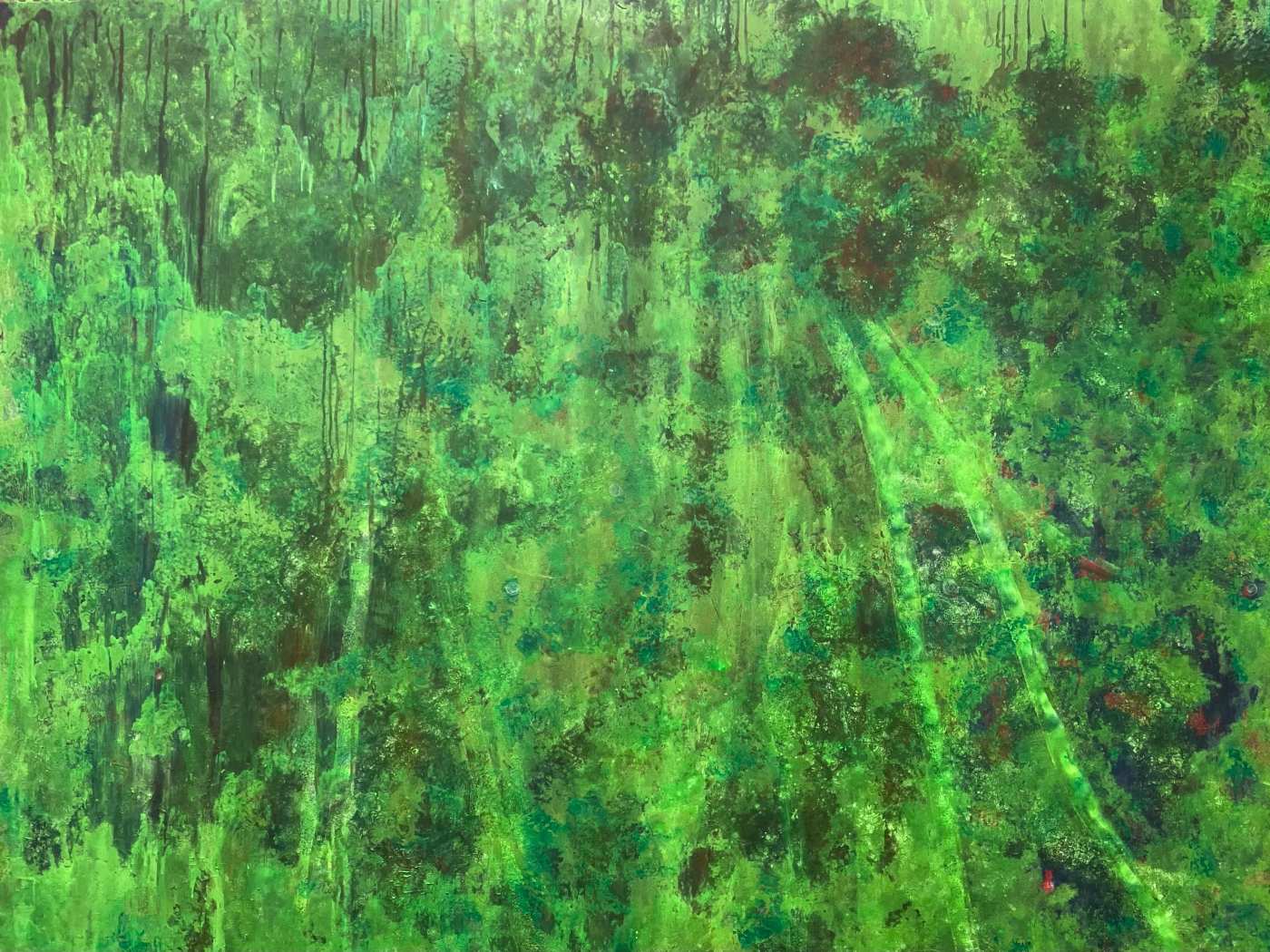 Die Augen des Waldes — Homage an denWald
