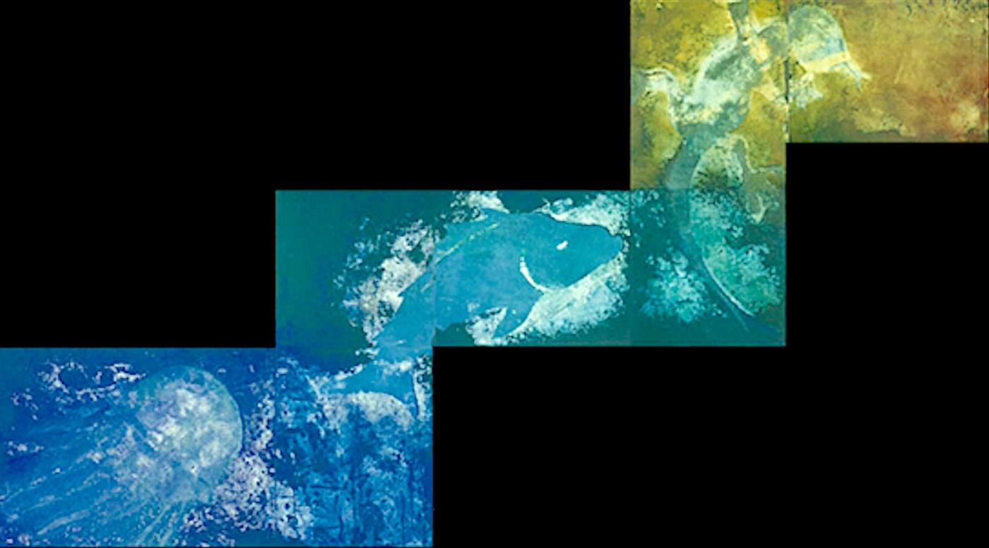 evolution — Periode